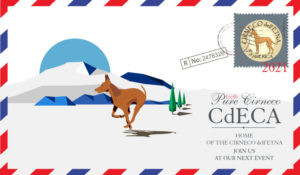 Save The Date - North Carolina Triangle Judges Education Group - September 03 2021 @ NC State Fairgrounds | Raleigh | North Carolina | United States